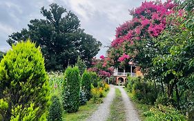 Guesthouse Kamelia
